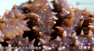 海參進補從娃娃抓起，兒童吃海參的好處！