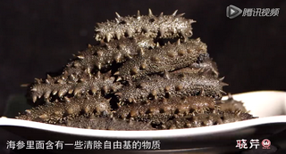孝敬父母，為何首選海參？